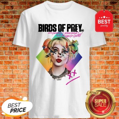Birds Of Prey DC And The Fantabulous Emancipation Of One Harley Quinn Shirt