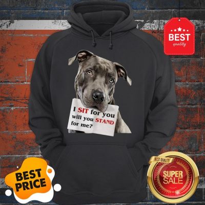 Official I Sit For You Will You Stand For Me Pitbull Dog Lovers Hoodie