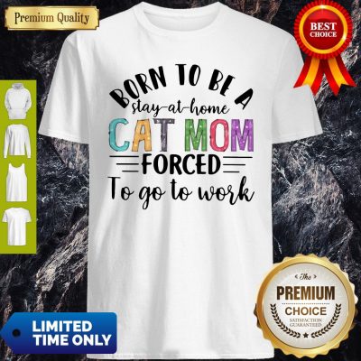 Funny Stay At Home Cat Mom T-Shirt