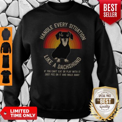 Nice Handle Every Situation Like A Dachshund Pitbull Dog Sweatshirt