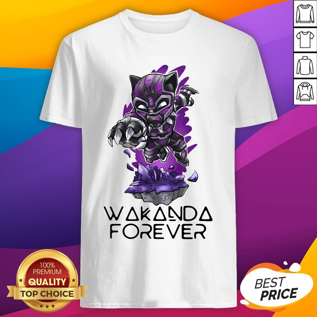 Chadwick Boseman Wakanda Forever 1977 2020 Shirt