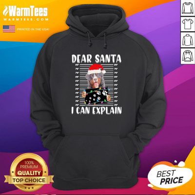 Excellent Bernese Mountain Dear Santa I Can Explain Christmas Sweater Hoodie Excellent Bernese Mountain Dear Santa I Can Explain Christmas Sweater Shirt