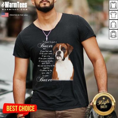 I Know I’m Just A Bull Boxer But If You Feel Sad V-neck - Design By Warmtees.com