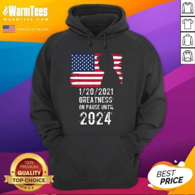 01202021 Greatness On Pause Until 2024 Pro Donald Trump USA Flag Hoodie - Design By Warmtees.com