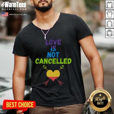 Love Is Not Cancelled V-neck - Design By Warmtees.com