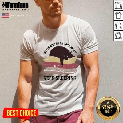 Never Give Up On Your Dream Keep Sleeping Cats Lying On Pillow V-neck - Design By Warmtees.com