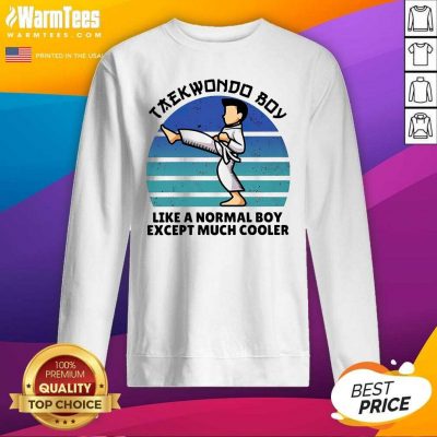 Vintage Taekwondo Boy Like A Normal Boy Except Much Cooler SweatShirt - Design By Warmtees.com