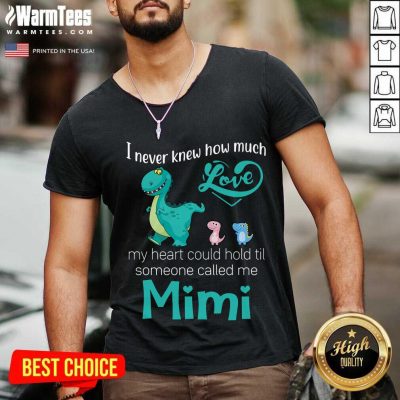 Happy Saurus I Never Knew How Much Love Mimi V-neck
