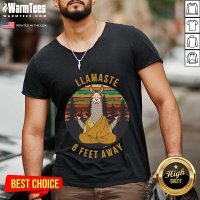 Original Llamaste 6 Feet Away Vintage V-neck
