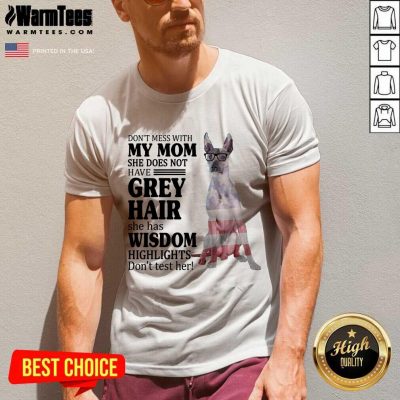 Perfect Xoloitzcuintli My Mom Grey Hair Wisdom Highlights American Flag V-neck