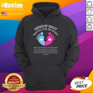 Nice Gender Reveal Baby Shower Jesus Bible John 1621 Hoodie