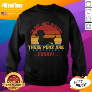 Alt Text: Funny 'I'm Not Barking, These Puns Are Pawsitively' sweatshirt featuring a playful dog graphic and vibrant colors.