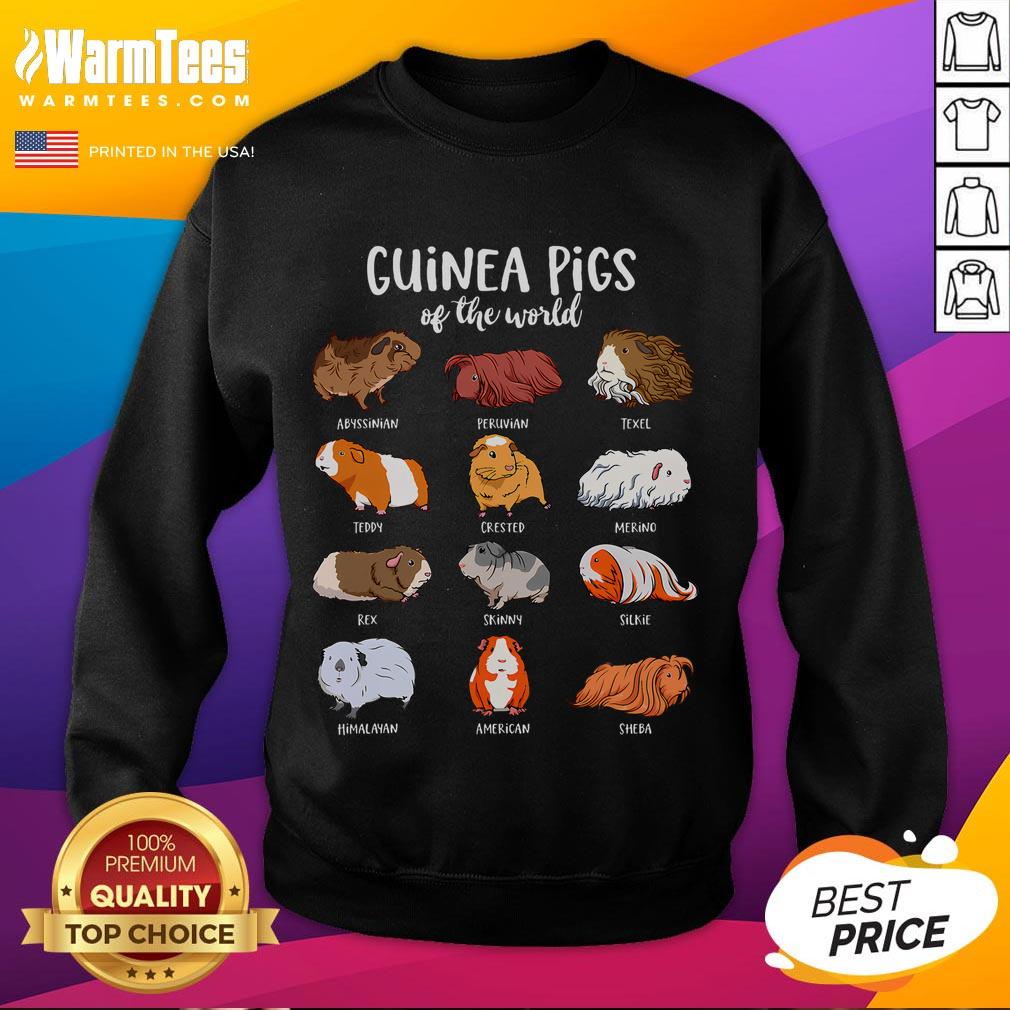 Adorable cartoon guinea pigs featured on a cozy sweatshirt, showcasing different types of guinea pigs in vibrant colors.
