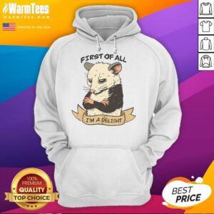 Cozy Nice First of All I Am A Delight Hoodie in vibrant colors, perfect for casual wear and showcasing your fun personality.