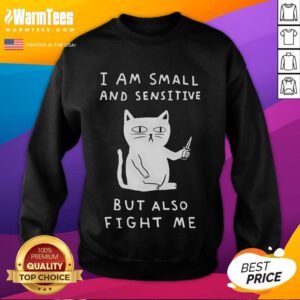 Cute cat sweatshirt featuring the phrase 'I Am Small And Sensitive But Also Fight Me' in playful font.