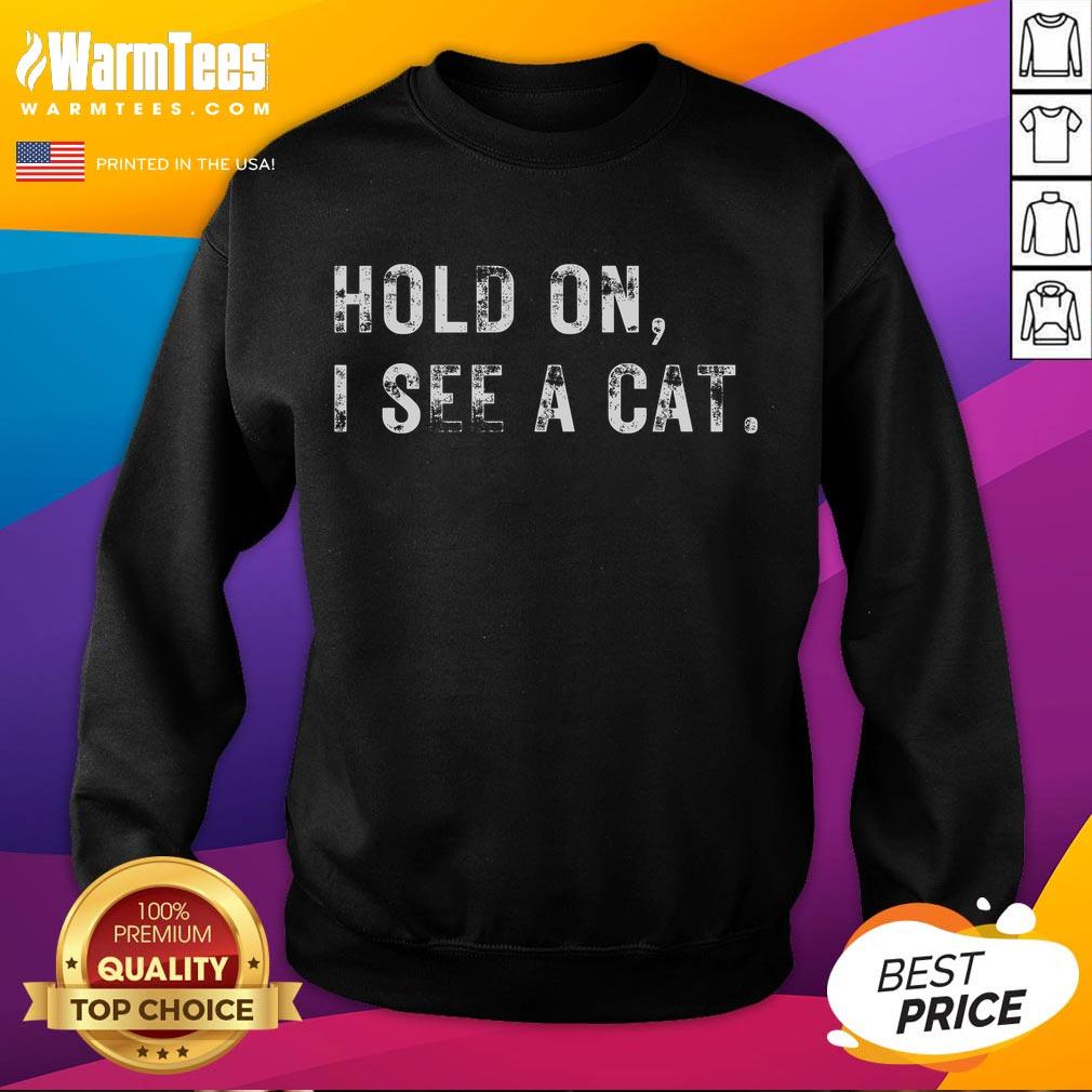Funny 'Hold On, I See A Cat' sweatshirt for cat lovers featuring a playful design and vibrant colors.