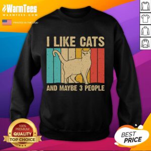 Funny vintage sweatshirt featuring 'I like cats and maybe 3 people' text design, perfect for cat lovers and retro fashion.