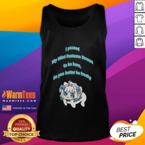 Alt Text: Funny meme tank top featuring I pause my mint Fantome stream text and a quirky Dororong graphic design.