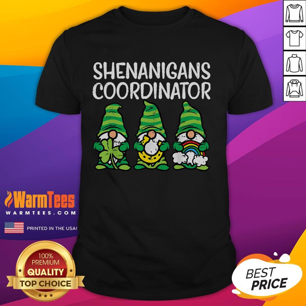 Alt Text: Funny St Patrick's Day gnome t-shirt featuring a whimsical design for a shenanigans coordinator teacher.