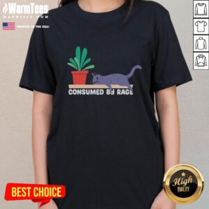 Funny-Consumes-By-Rage-Meme-Tired-Cat-Ladies-Tee