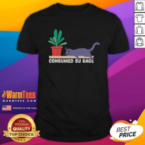 Funny 'Consumes By Rage' meme featuring a tired cat on a stylish T-shirt, perfect for cat lovers and meme enthusiasts.