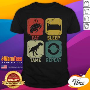 Funny Eat Sleep Tame Repeat Dinosaur Gaming T-Shirt for gamers, featuring a playful dino design perfect for game lovers.