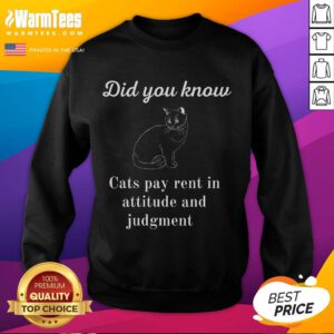 Funny S Cat Lovers Attitude Judgment Sweatshirt featuring a playful cat design and witty text for cat enthusiasts.