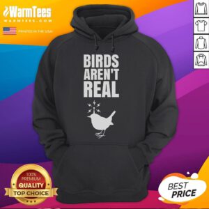 Good Birds Aren't Real meme hoodie featuring a humorous conspiracy design for meme enthusiasts and fashion lovers.
