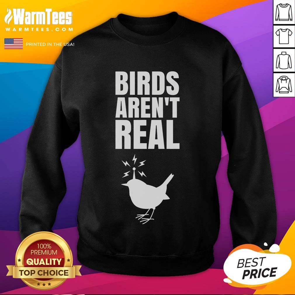 Good Birds Aren't Real meme sweatshirt featuring a humorous conspiracy design for fans of parody fashion.