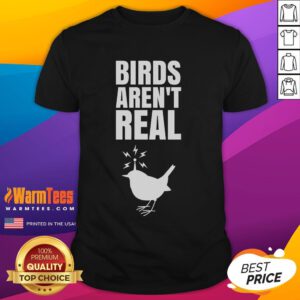 Good Birds Aren't Real meme conspiracy T-shirt featuring a humorous design and vibrant colors, perfect for meme lovers.