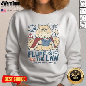 Alt Text: Cute fluffy cat wearing a Fluff Is The Law sweatshirt with static hair, showcasing its adorable personality.