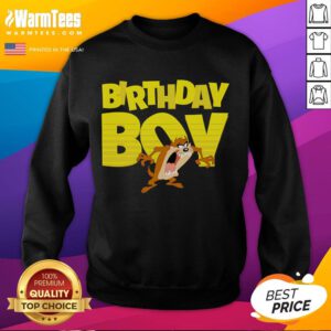 Adorable birthday boy wearing a Looney Tunes Taz cartoon sweatshirt for a fun celebration.