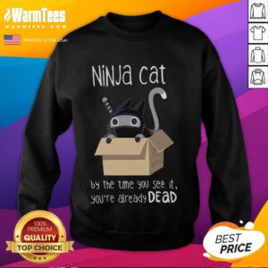 Cute ninja cat sweatshirt with the phrase 'By the time you see it, you're already dead' in playful font.