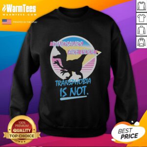 Funny dinosaurs sweatshirt with 'Dinosaurs Are Cool, Transphobia Is Not' slogan, promoting inclusivity and humor.