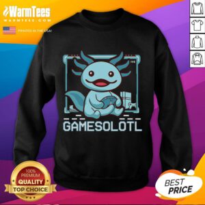 Funny Gamesalotl Boy in an Axolotl-themed gaming sweatshirt, showcasing a playful gaming vibe for video game enthusiasts.