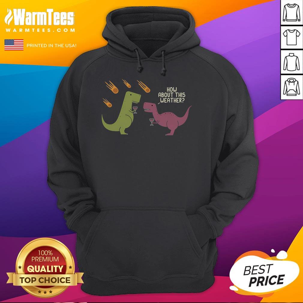 Alt Text: Funny dinosaur hoodie featuring a meteorite rain design, perfect for weather enthusiasts and wine lovers.