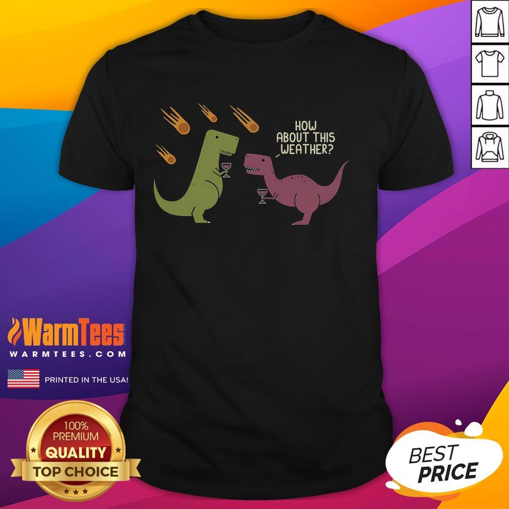 Funny How About This Weather Dinosaur T-Shirt featuring a meteorite rain design, perfect for quirky fashion lovers.
