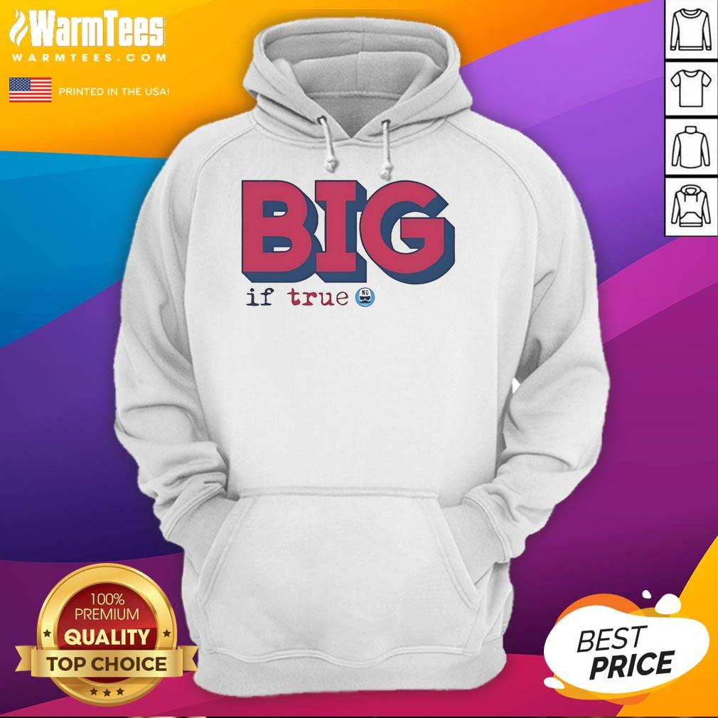 Alt Text: Good Big If True Not Gaetti logo hoodie featuring a stylish design in a casual setting.