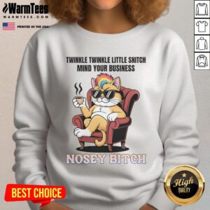 Awesome Cat sweatshirt featuring 'Twinkle Twinkle Little Snitch Mind Your Business' design, perfect for cat lovers.