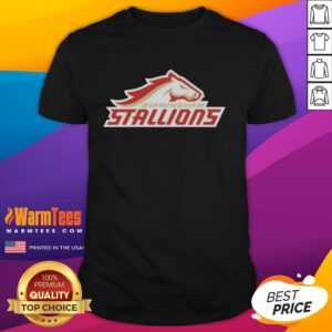 Stylish Birmingham Stallions Lockup Logo T-Shirt featuring vibrant colors and bold design for fans and sports enthusiasts.