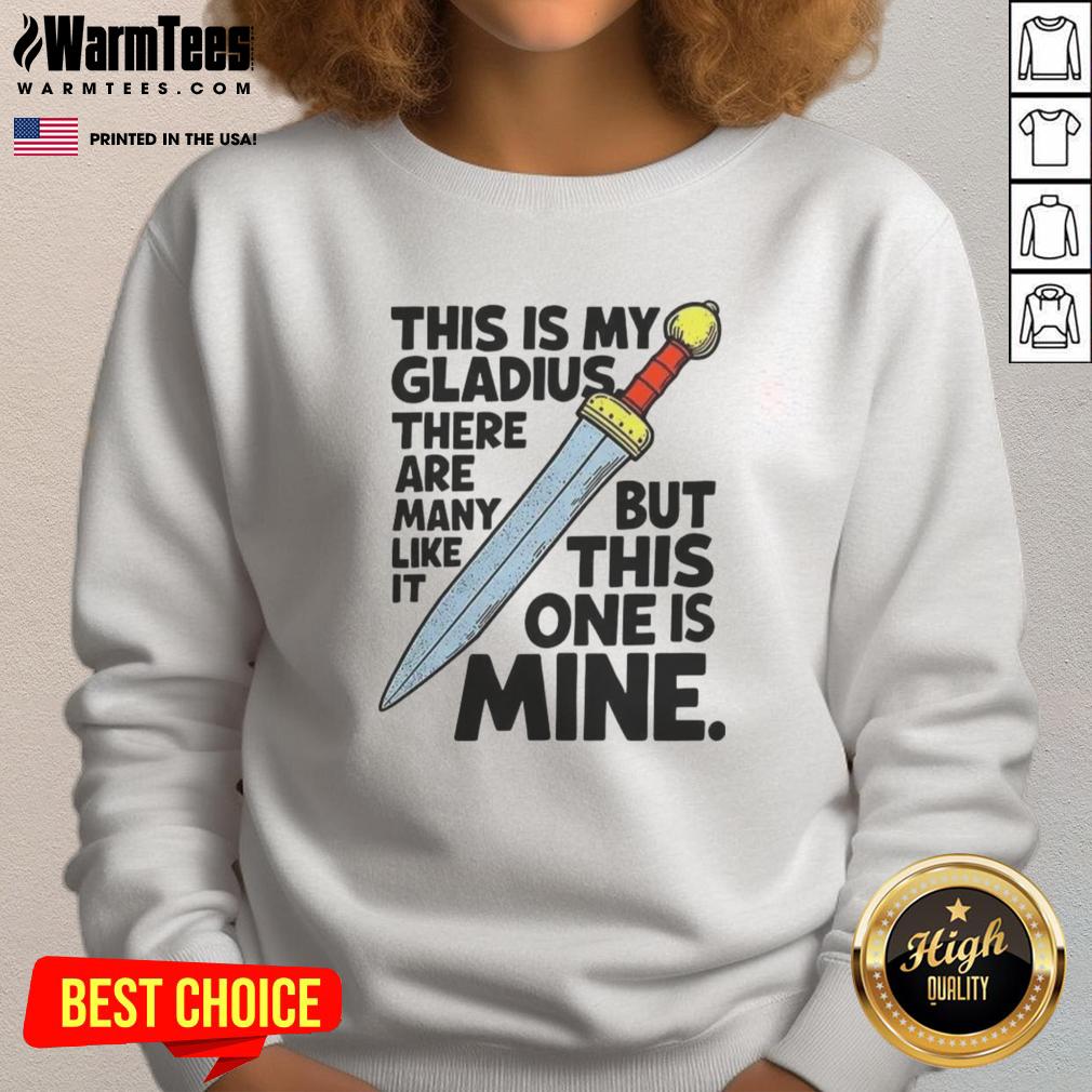 Nice sweatshirt featuring the phrase 'This Is My Gladius' with a sword graphic, perfect for sword enthusiasts.