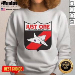 Alt Text: Premium Just One Finals Win Before I Die sweatshirt featuring a bold graphic design, perfect for sports fans.