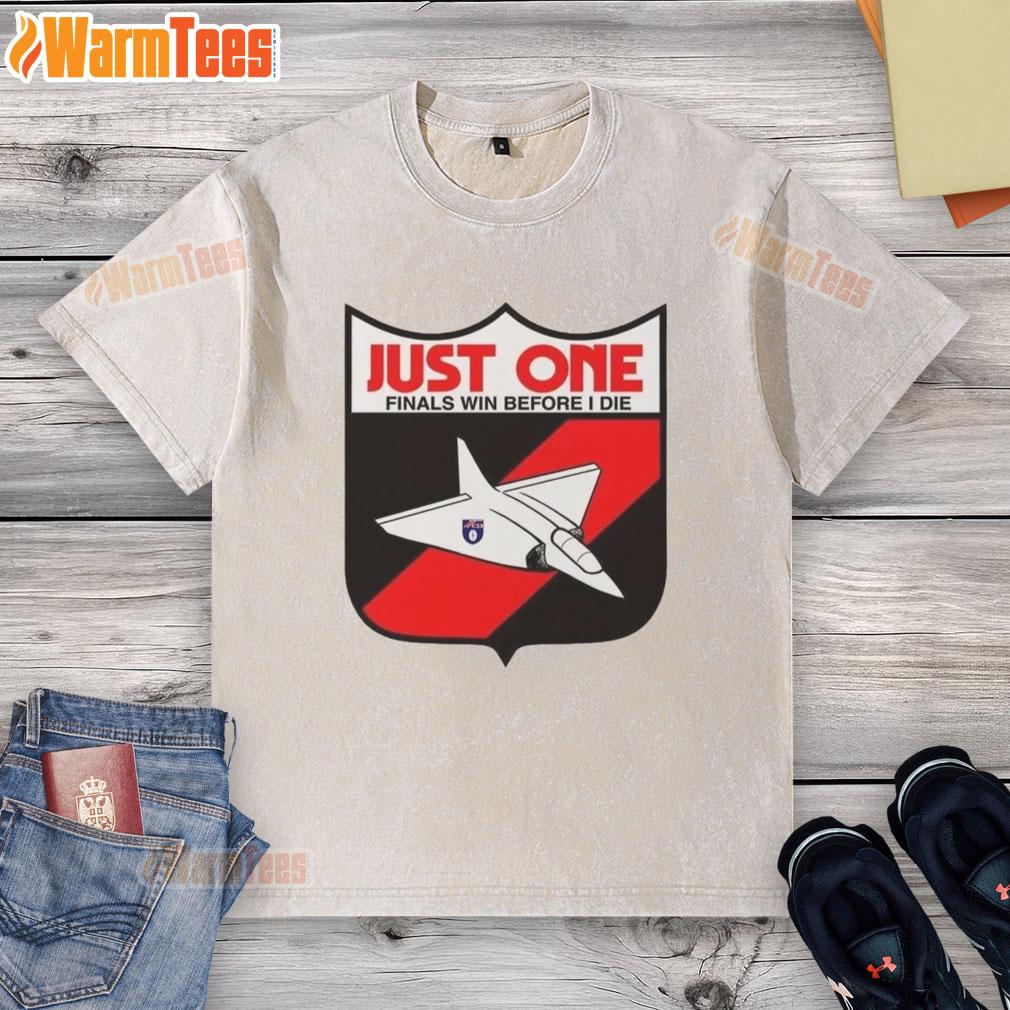 Alt Text: Premium Just One Finals Win Before I Die washed t-shirt featuring a casual design perfect for sports fans.