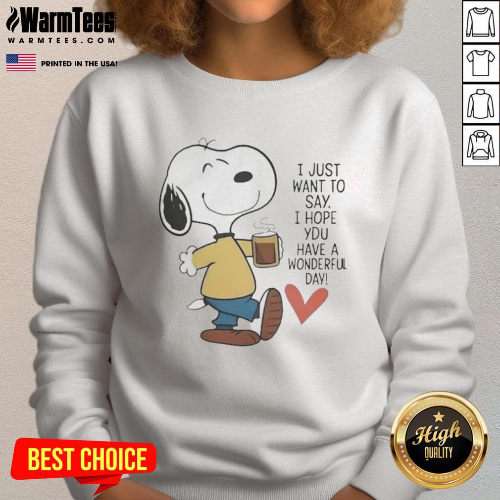 Cozy 'Awesome I Just Want to Say I Hope You Have a Wonderful Day' sweatshirt in soft fabric, perfect for casual wear.