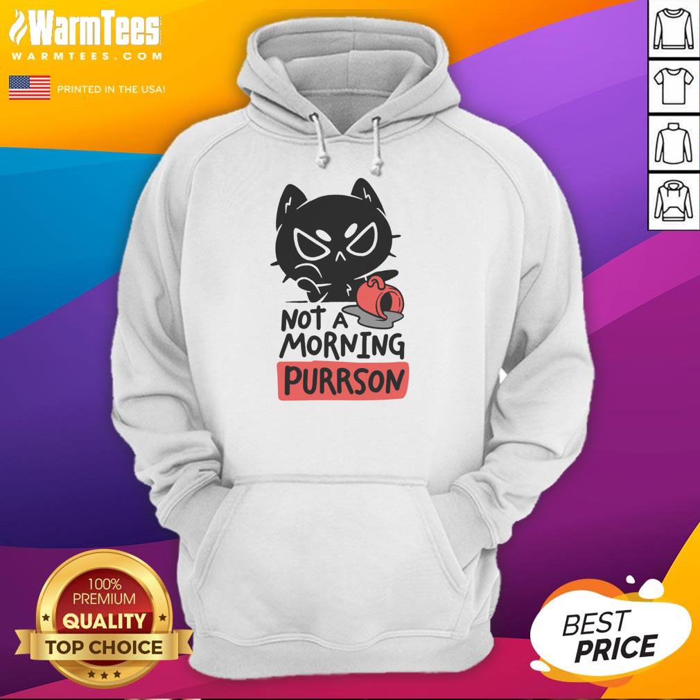 Funny cat hoodie design featuring a sleepy cat with the phrase 'Not a morning purrson' for cat lovers.