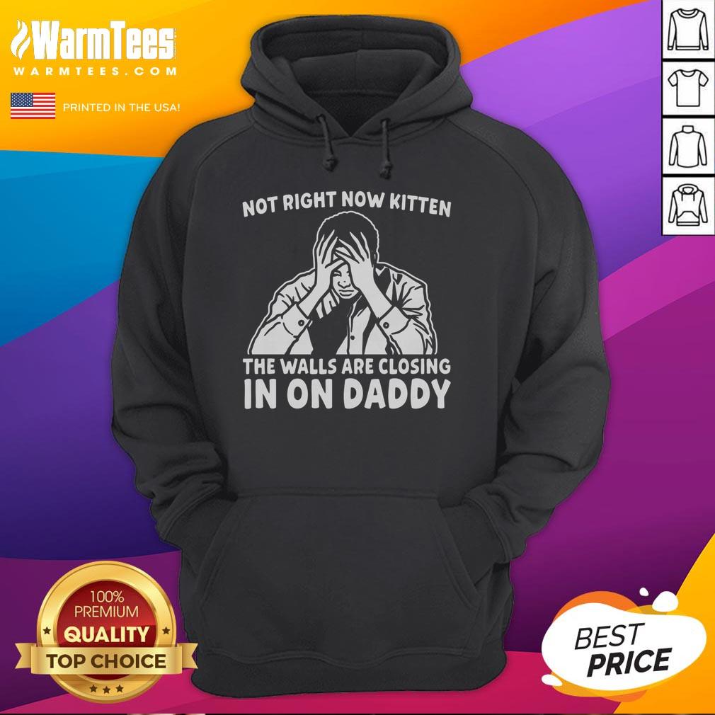 Premium Not Right Now Kitten hoodie featuring a playful kitten design, perfect for cat lovers and cozy fashion enthusiasts.
