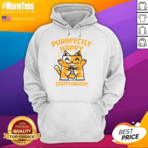 Alt Text: Good Purrfectly Happy Catffeinated Coffee Cat Hoodie featuring a playful cat design, perfect for cat lovers.