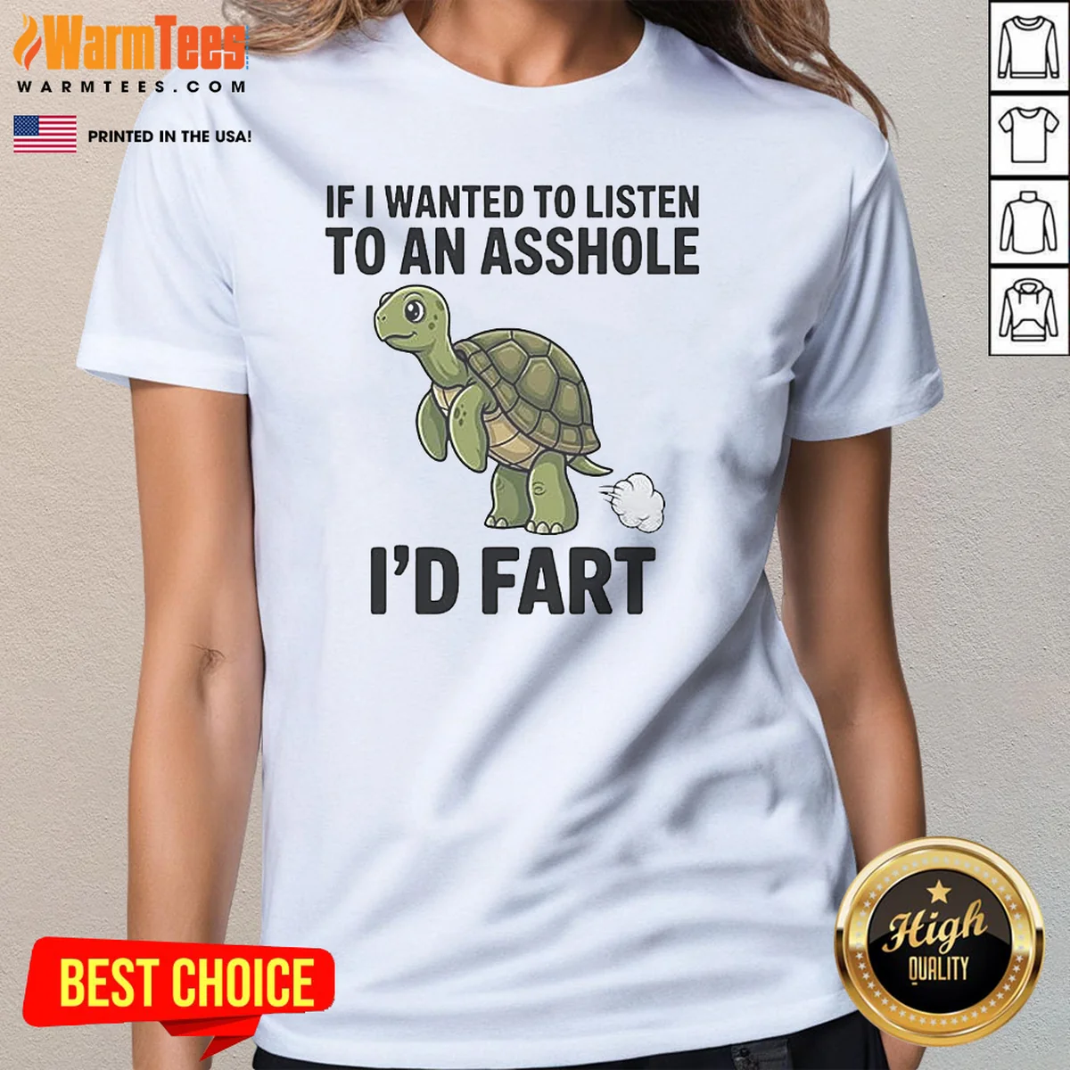 Good Turtle If I Wanted To Ladies Shirt Good Turtle If I Wanted To Ladies Shirt