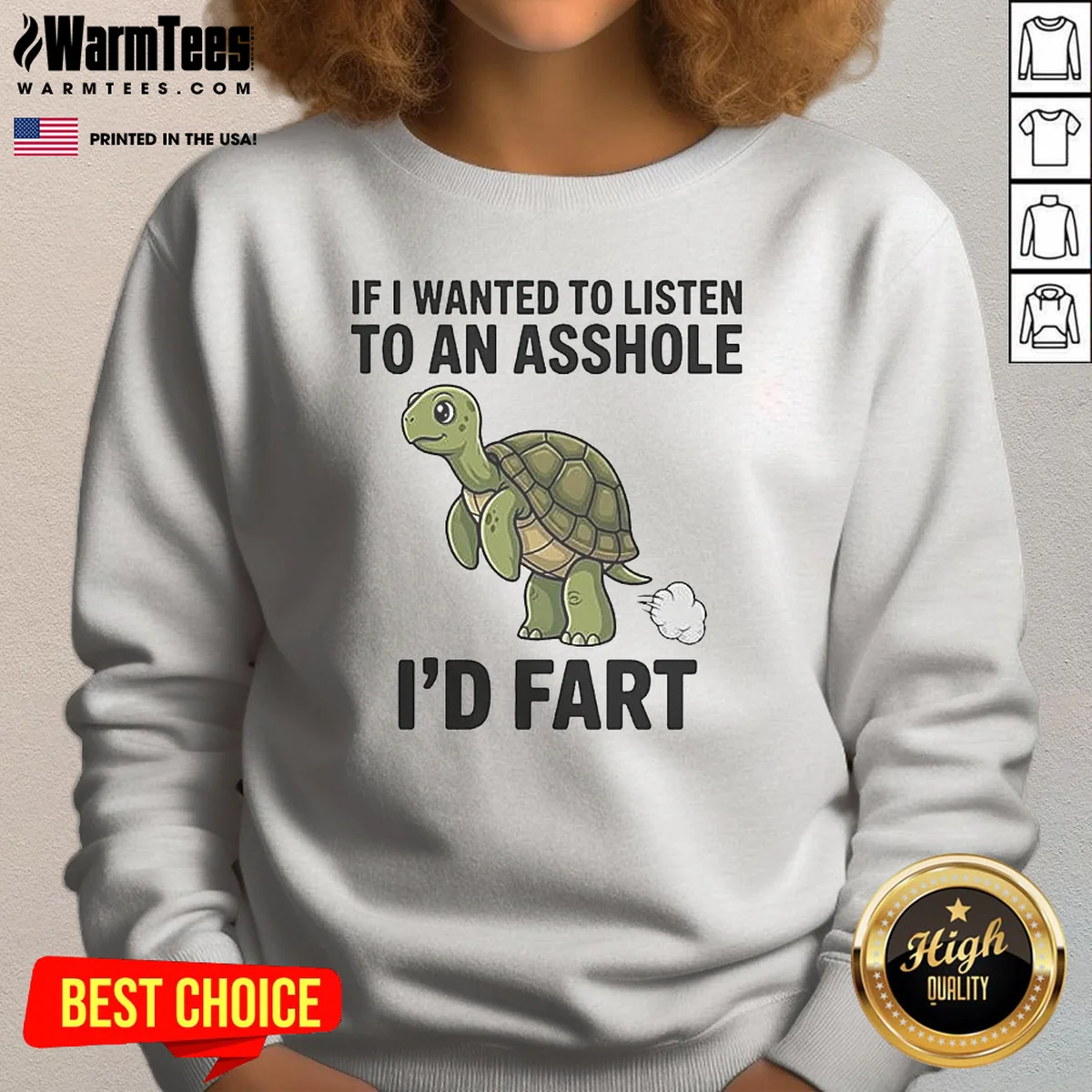 Good Turtle If I Wanted To Listen To An Asshole I'D Fart Funny Animal Meme sweatshirt in gray, crewneck style