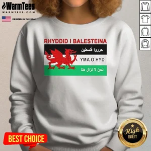 Pretty Rhyddid I Balesteina Yma O Hyd Wales Palestine Solidarity Flag Sweatshirt in dark grey, long-sleeve, crewneck style